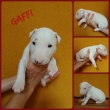 na fotk�ch 3-t��d�ov�