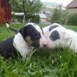 3-t��d�ov�